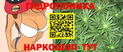 кокс Кунгур