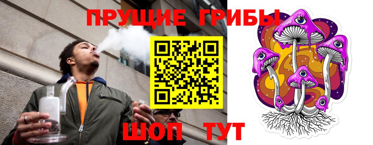 Тара  Псилоцибиновые грибы прущие грибы  Вход с VPN 